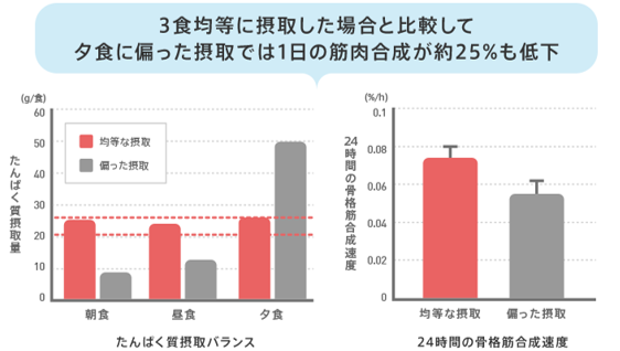 たんぱく質三食均等に摂取
