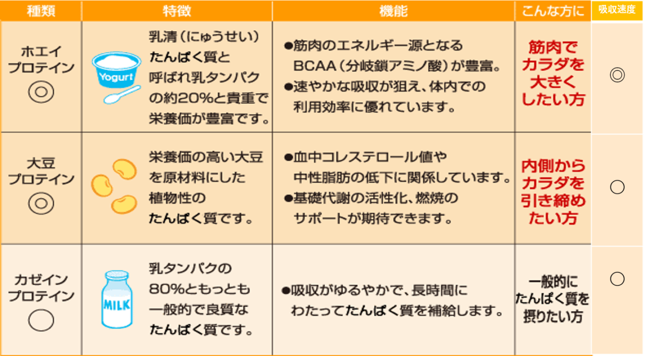 プロテインの種類と効果、特徴