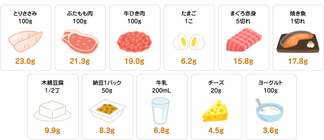たんぱく質を多く含む食材