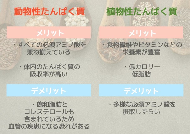 植物性と動物性たんぱく質のメリット・デメリット
